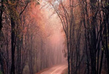 穆萨：希门尼斯是个好伙计，希望和他在中北美国家联赛决赛碰面.