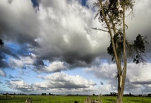 彭欣力+卢永涛没防守，老崔错信2将，泰山国脚送2助攻 还得靠老将.