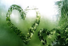 熊猫tv：加比：我希望未来可以执教马德里竞技.