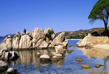 熊猫tv：加比：我希望未来可以执教马德里竞技.